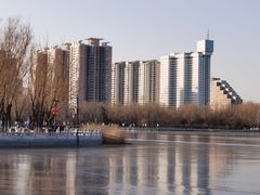 -莲花池公园