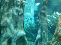 -福州罗源湾海洋世界旅游区