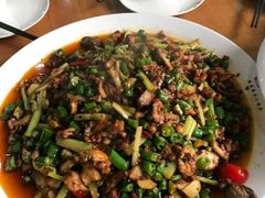 -功夫兔