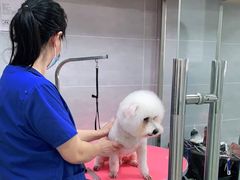 -宠福鑫康馨动物医院·骨科·眼科