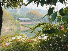 -广东花都湖国家湿地公园