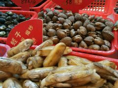 android_upload_pic-昌正春天酒店-海鲜餐厅