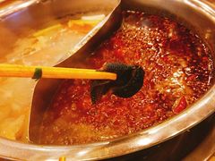 -朱氏胖子烂火锅(洪崖洞店)