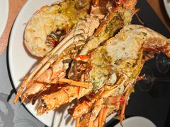 -拉蒂娜·巴西牛排馆 Latina·Brazilian Steakhouse(王府井喜悦店)