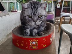 -小时光咖啡馆(北锣鼓巷店)