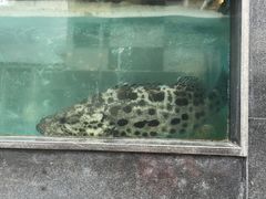 -旺富东海大酒楼(海鲜街店)