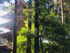 -醍醐寺