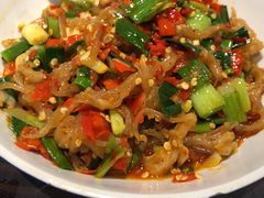 鸭掌筋-壹盏灯(惠农店)