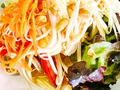 青木瓜沙拉-Kat's Kitchen