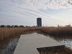-鹦鹉洲湿地公园