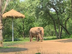 -北京野生动物园