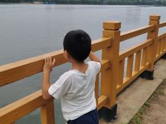 -长白岛森林公园