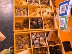 -房山世界地质公园博物馆