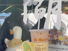 -猫的魔法密林(衣裳街店)