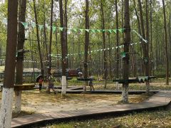 -合肥滨湖国家森林公园