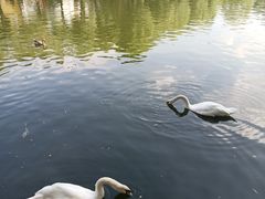 -石家庄市动物园