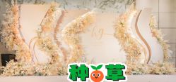 点击看大图 -经典婚纱摄影美学馆·私人定制