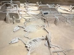 -洛阳周王城天子驾六博物馆