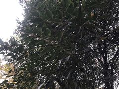 -八卦田遗址公园