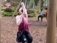 -铁山坪森林公园