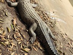 -泉州海丝野生动物世界