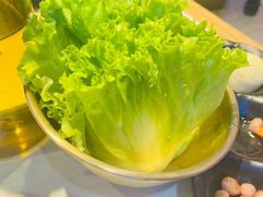 -杨记齐齐哈尔烤肉(总店)