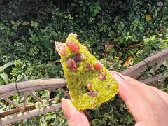 -姑苏秦隆昌(木渎古镇店)