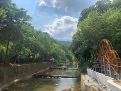 -广州白江湖森林公园