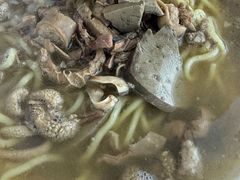 -春晖园度假酒店温泉