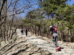 -北京鹫峰国家森林公园