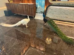 -西双版纳融创皇冠假日度假酒店