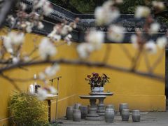 -西园寺