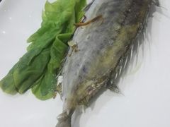 -海大大蒸汽海鲜餐厅·粤菜·特色小炒(欢乐颂店)