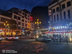 -金鼎雪山牦牛杂火锅(理县总店)