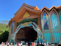 -西双版纳原始森林公园