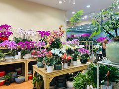 -双季花艺园艺市场(浦东店)