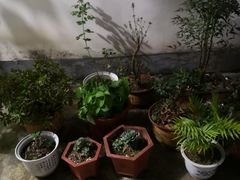 -九华山友谊土菜馆 小资餐厅