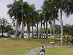 -南宁南湖公园