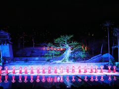 -三亚红色娘子军演艺公园景区