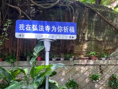 -深圳仙湖植物园
