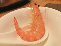-凯华海鲜火锅·传承三十六年
