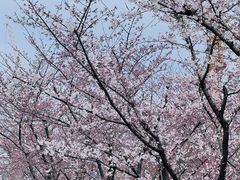 -龙美术馆(西岸馆)