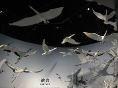 -中国湿地博物馆