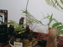 -道南書院·私房菜·早午茶·茶馆