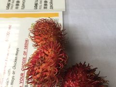 -Lanterns Vietnamese Restaurant