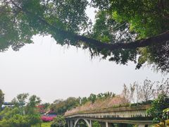 -观澜湖生态运动公社