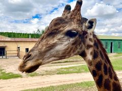 -鄂尔多斯野生动物园