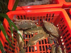 -79号渔船海鲜饭店(华强北店)