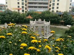 -龙脉温泉室内游泳馆