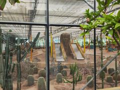 -南宫五洲植物乐园